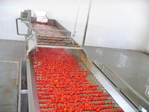 Vente de machine de concentre de tomate