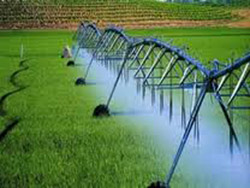 Prestation de service d'irrigation par aspersion.