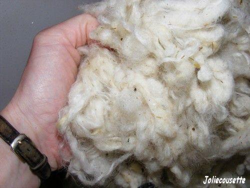 La laine de moutons brute (Sale)