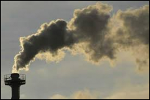 Etude d'impact de la pollution industrielle.