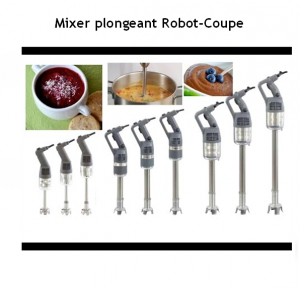 Vente de MIXER PLONGEANT - ROBOT COUPE
