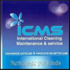 INTERNATIONAL CLEANINIG MAINTENANCE  AND SERVICES