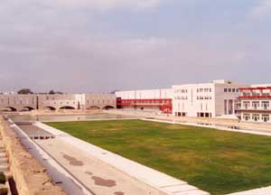 Construction de Cit des sciences de Tunis
