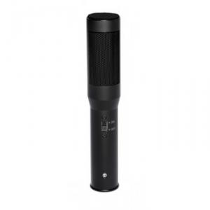 Permanently polarized condenser microphone
