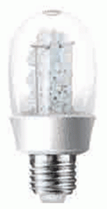 LED Globe : (109×Φ49mm)