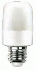 LED Globe : (87×Φ43mm)