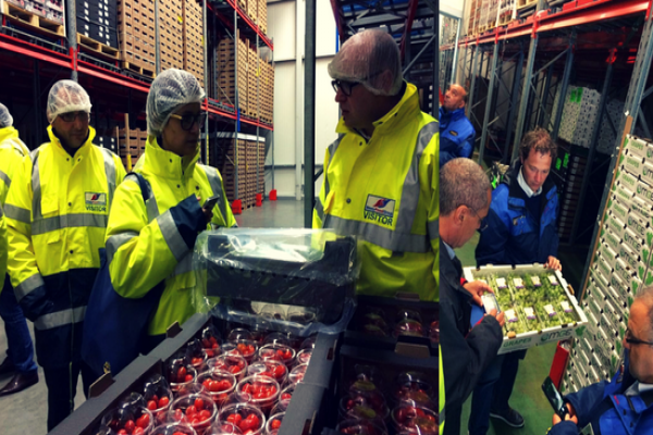 Fruits et légumes frais: Mission de prospection aux Pays Bas