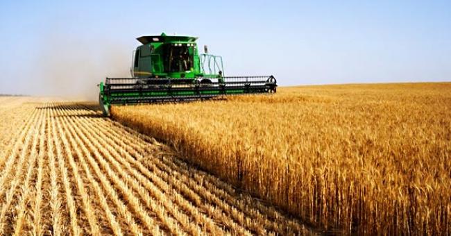 Production céréalière record, la deuxième plus grosse récolte depuis l’indépendance