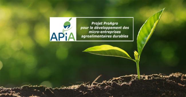 APIA / ProAgro : Un appel à candidature pour la sélection de 400 micro-entreprises 