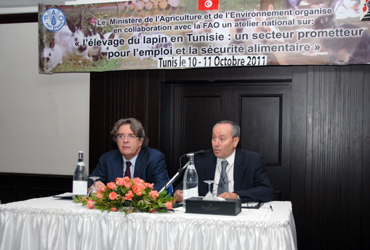 Cuniculture: la FAO dispose  renforcer les capacits techniques et organisationnelles de la Tunisie