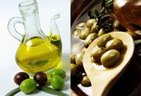 La hausse des recettes de l'huile d'olive tunisienne  400MD 
