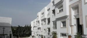 Investissement Immobilier : Investir dans limmobilier en Tunisie 