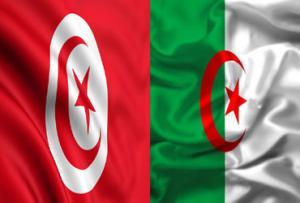 Exportations: examen des moyens de renforcer la coopration tuniso-algrienne 