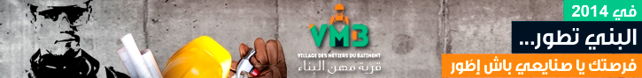 Emission TV spcial VMB, Village des mtiers du btiment